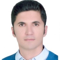hossein samadi