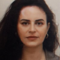 Inna Vaisberg Cohen