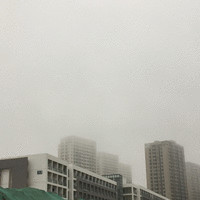 陈朋伟