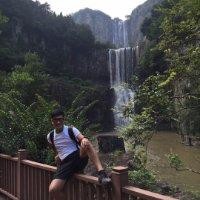杨世腾
