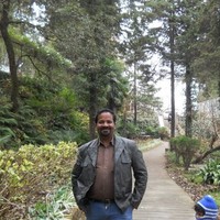 Alok Agnihotri