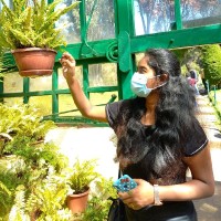 Sashi Rekha
