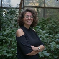 Çağdaş D. Güler