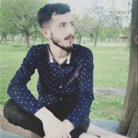 Mohammad Arif