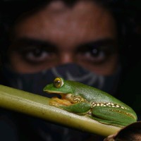 Rajdeep Das
