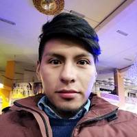 Cristian Alexi Coaquira Salas