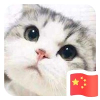 张金阳