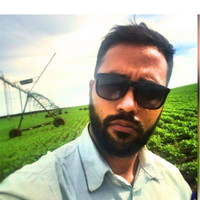 Marcelo Botelho