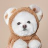 Hyein Lee
