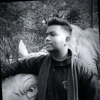 Ankur Das