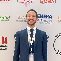 Wael Sokkar