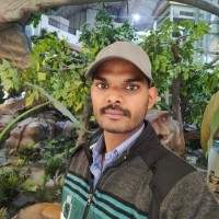 Awadhesh Kumar