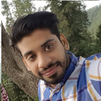 Waleed Mirza