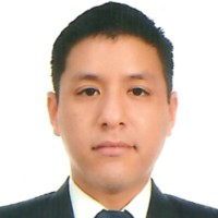 Carlos Andrés Pozo Bulnes