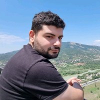 Raphael Arbib