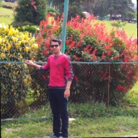 Hemant Birla