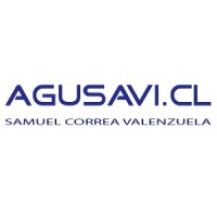 Samuel Correa Valenzuela