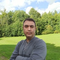 Hamed Shokripour