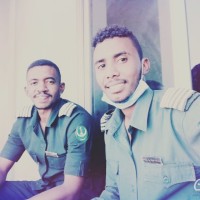 Mohammed Alsadig