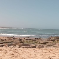 Hayat Kh