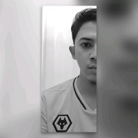 Bagus Triantoro