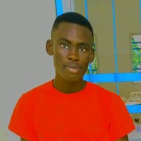 Ehouman Aka
