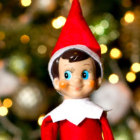 Elfie Elf