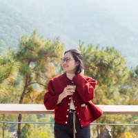 Hong Vu