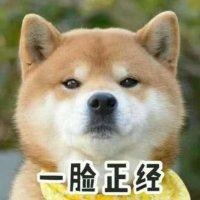 张强强