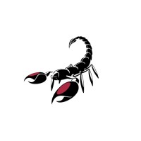 Scorpion Solutions