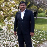 Viswanaathan Ramani