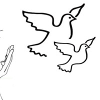 王桃红