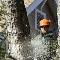 Keil Tree Experts
