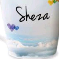 Sheza Ashraf