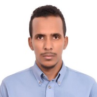 Mohamed Lemine El Hassen