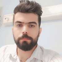 انور خضير علوان حمد