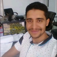 Mohamed Elsabagh