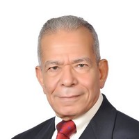 Ayoub M Ayoub