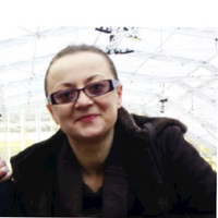 Elena Sdrobis