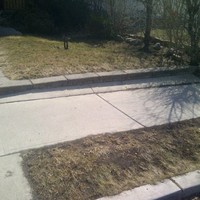 Organic Green Lawncare