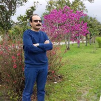 Mansoor Naghiloo