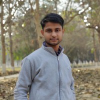 ANKUSH PAUL