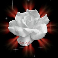 Mary Vallas