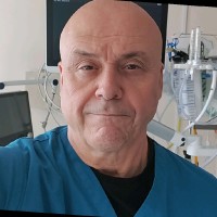 Stephen Palmer