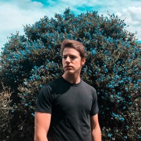 Harrison Schaefer
