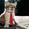 Ms. Cat