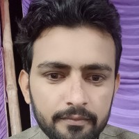 Saleem Gul SEO Expert