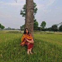 Shah Afroz