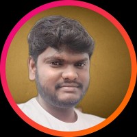 Vigneshwaran P