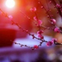 刘桂方